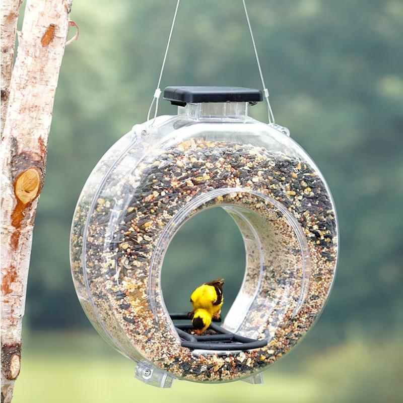 Garden Accents | Large Clear Round Bird Feeder Garden & Outdoors Garden Accents