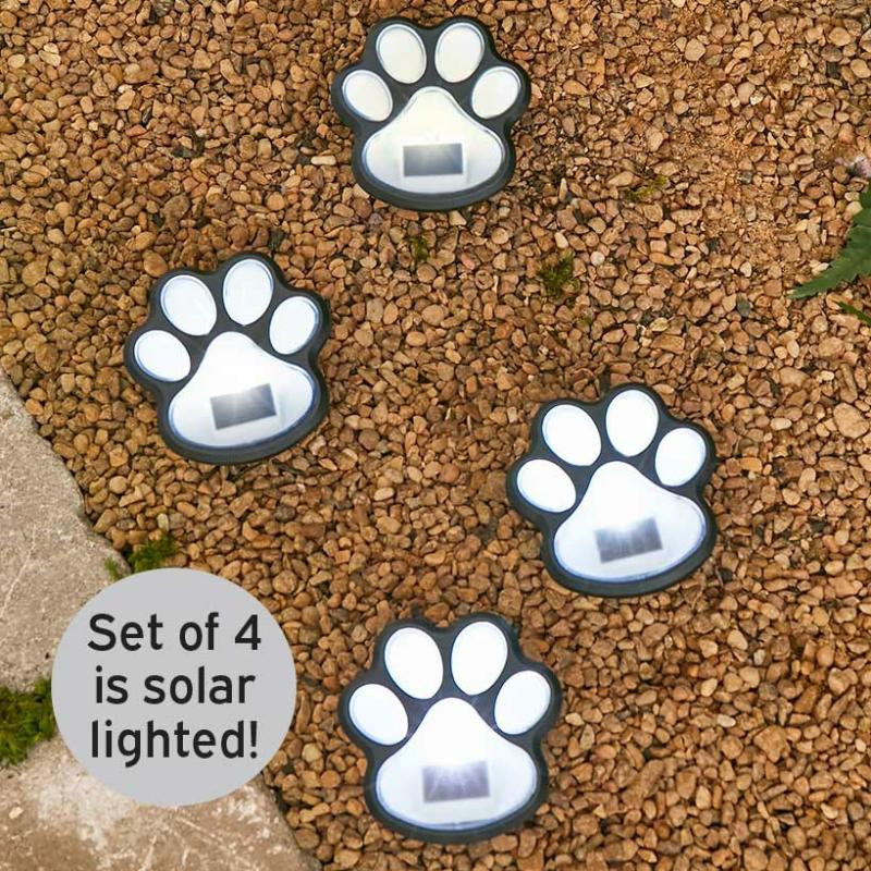 Garden Accents | Solar Paw Print Pathway Lights Garden & Outdoors Garden Accents