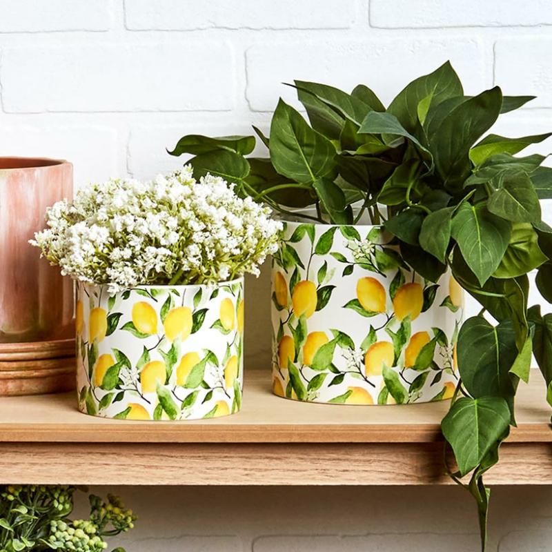 Planters & Gardening | Lemon Ceramic Planter Garden & Outdoors Planters & Gardening