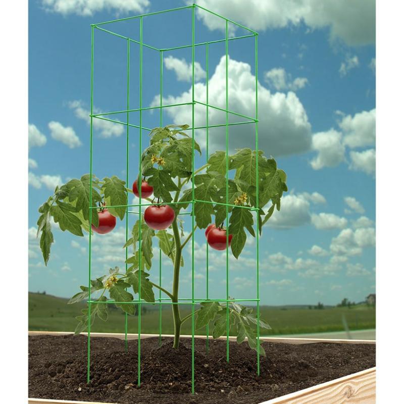 Planters & Gardening | Set Of 3 47" Tomato Towers Garden & Outdoors Gardening Solutions