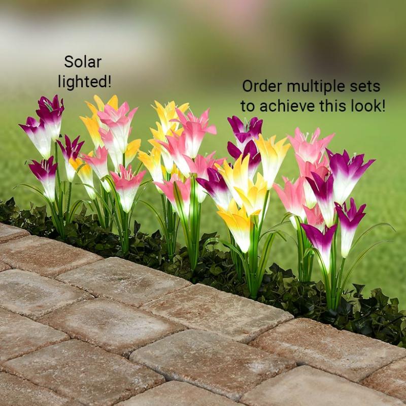 Solar & Outdoor Lighting | Set Of 3 Solar Lily Garden Lights Garden & Outdoors Solar & Outdoor Lighting